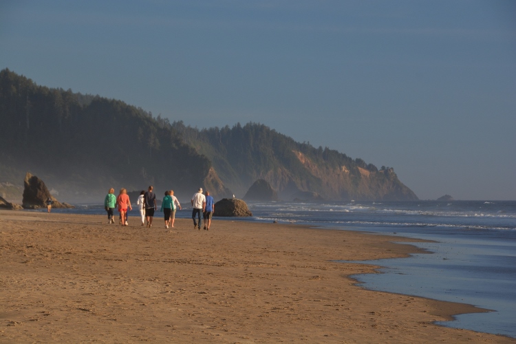 group of people walking on beach